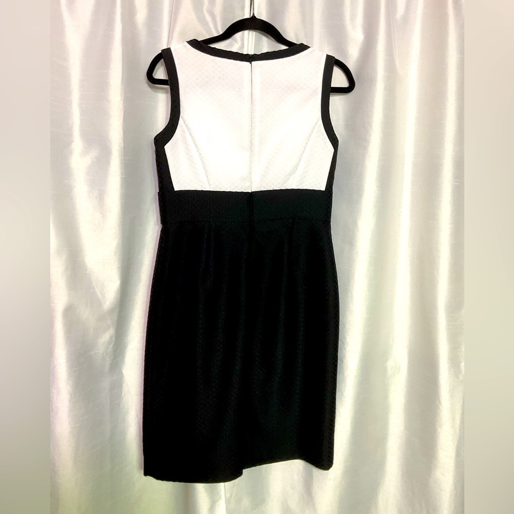 Tahari ASL Dress - Picture 2 of 14